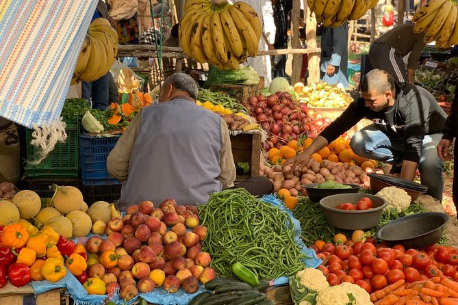 Luxury private day trip - Atlas Mountains, Agafay Desert & camels - Key points to know before booking