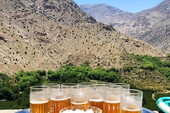 Luxury private day trip - Atlas Mountains, Agafay Desert & camels - Timing, fitness, and what to bring