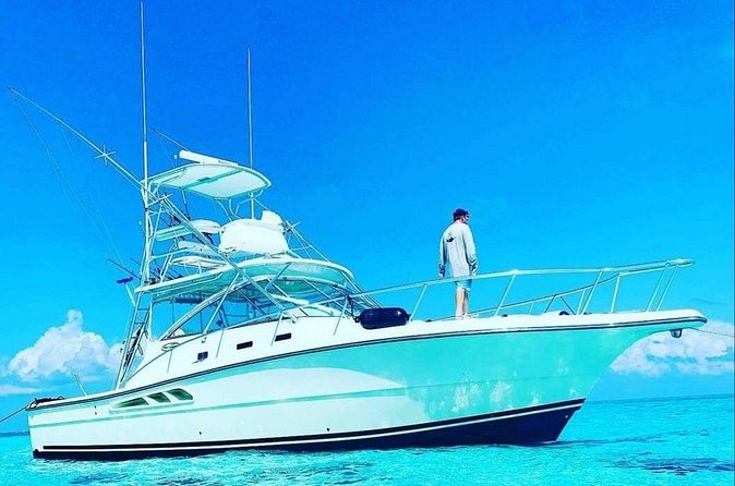 Luxury Private Fishing Charters - FULL DAY CHARTER - The fresh ceviche moment