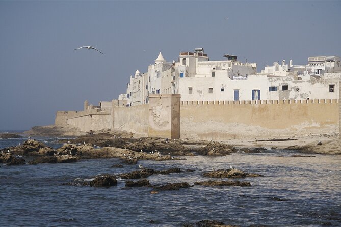 Luxury Private Full Day Trip To Essaouira - Key points at a glance