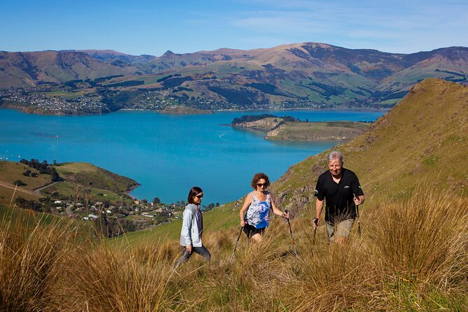 Luxury Private Guided Crater Rim Walk on Banks Peninsula - Key Details That Shape the Day