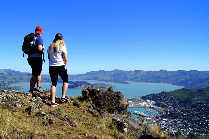 Luxury Private Guided Crater Rim Walk on Banks Peninsula - Why the Private Format Matters