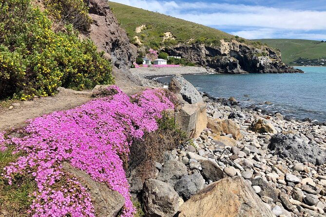 Luxury Private Guided Crater Rim Walk on Banks Peninsula - Food, Equipment, and Comfort Along the Way