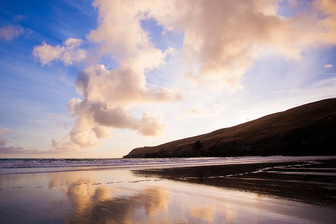 Luxury Private Guided Crater Rim Walk on Banks Peninsula - Who Will Get the Most From This Walk