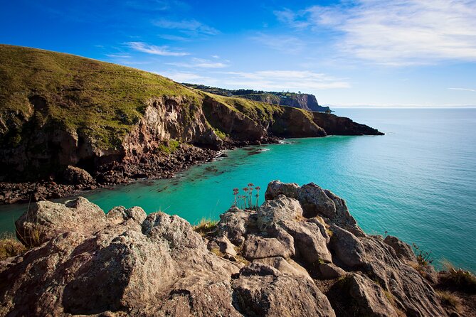 Luxury Private Guided Crater Rim Walk on Banks Peninsula - Timing, Cancellation, and Planning Advice