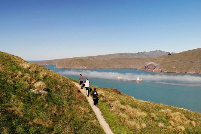 Luxury Private Guided Crater Rim Walk on Banks Peninsula - Taylors Mistake Begins the Main Walk