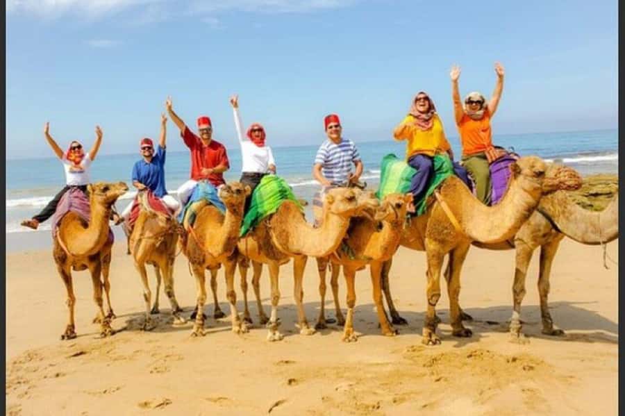 Luxury Private Tangier Tour from Marbella all inclusive - Rmilat Park, Marshan Palace, and Cape Spartel