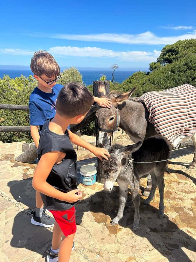 Luxury Private Tangier Tour from Marbella all inclusive - Achakkar Beach and the 25-minute camel ride