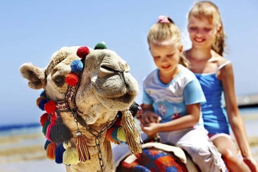 Luxury Private Tangier Tour from Marbella all inclusive - Hercules Caves and the Atlantic coast