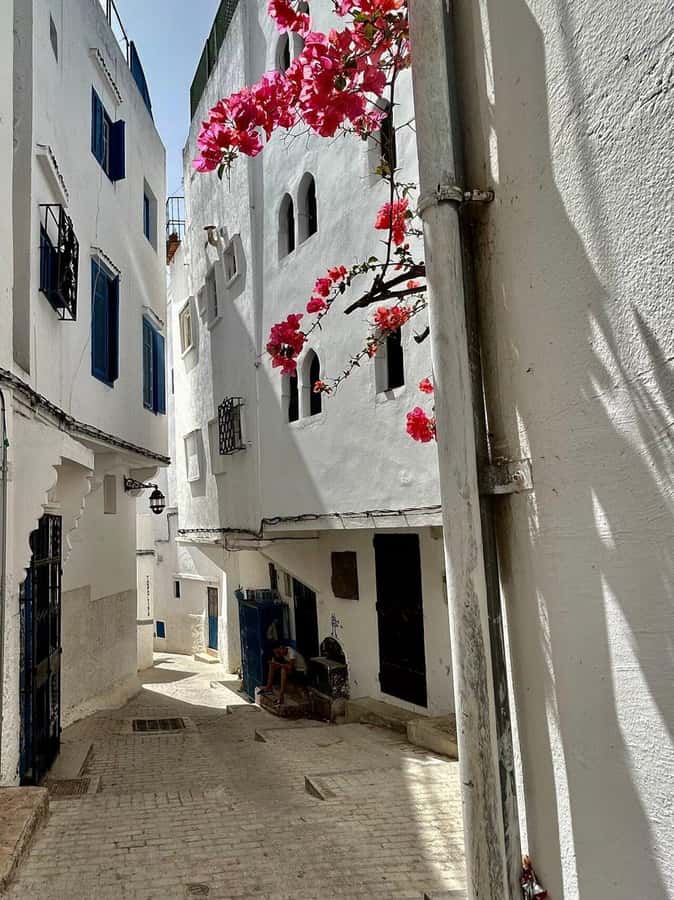 Luxury Private Tangier Tour from Marbella all inclusive - Entering Tangier through Bab Kasbah