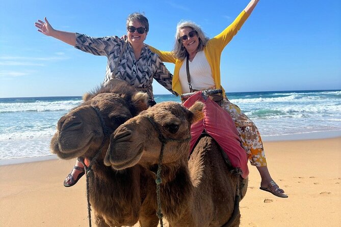 Luxury Private Tour of Tangier from Marbella All Inclusive - The Casbah and the old city of Tangier
