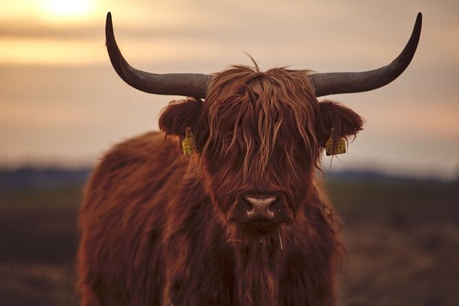 Luxury Private Tour of The Highlands & Loch Ness from Edinburgh - The Trossachs offer some of Scotland’s finest scenery