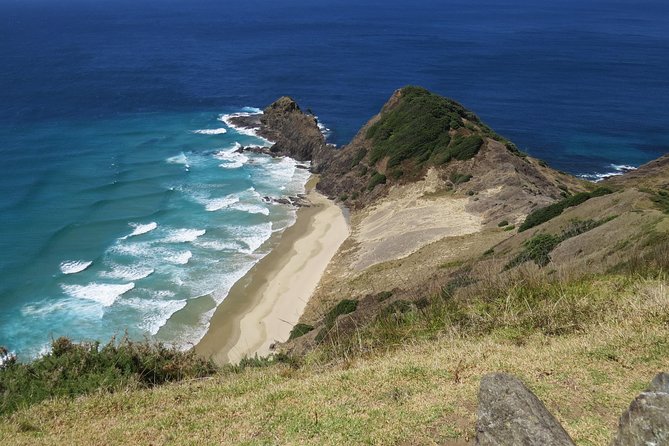 Luxury Private Transfers: Auckland Airport to City - Price, Timing, and Overall Value