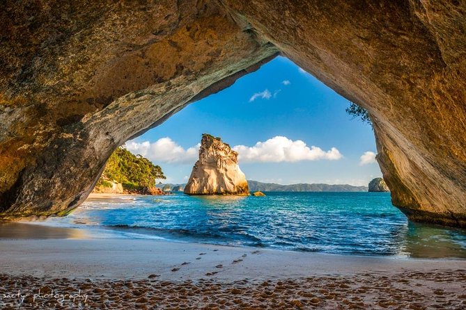 Luxury Private Transfers: Auckland Airport to City - Who Should Book This Transfer?