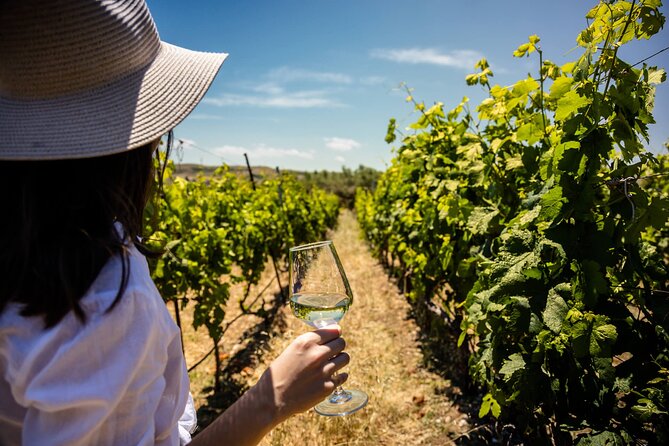 LUXURY PRIVATE Wine Tasting in CRETE (also for CRUISE SHIPS) - Why this four-hour Crete wine tour works