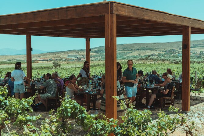 LUXURY PRIVATE Wine Tasting in CRETE (also for CRUISE SHIPS) - Important advice for cruise-ship passengers