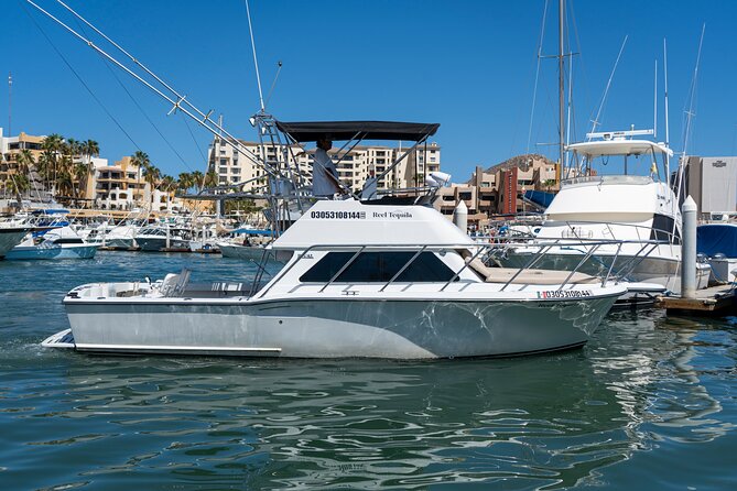 Luxury Private Yacht Charter in Cabo San Lucas Mexico - Sea lions and the smaller rock formations