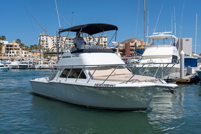 Luxury Private Yacht Charter in Cabo San Lucas Mexico - The crew may shape the whole outing