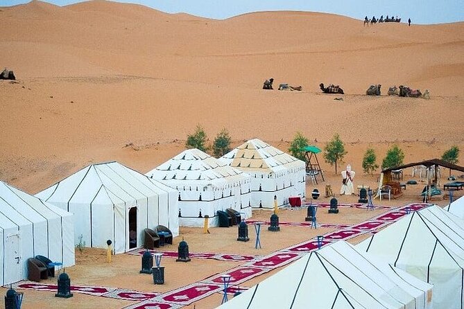 Luxury Sahara Desert From Fez back to fez or marrakech overnight - The real shape of this Fez to Sahara trip