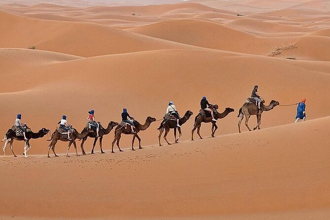 Luxury Sahara Desert From Fez back to fez or marrakech overnight - The private tent sounds better than basic desert camping