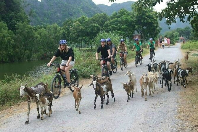 Luxury small Group Hoa Lu - Tam Coc - Mua Cave Max 6 - 8 pax/tour - Tam Coc by two-person sampan