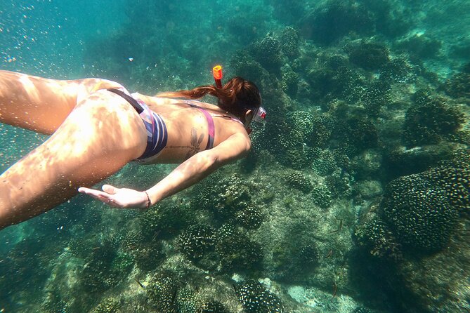 Luxury Snorkel Adventure in Cabo - Cabo’s Famous Rock Formations From the Water
