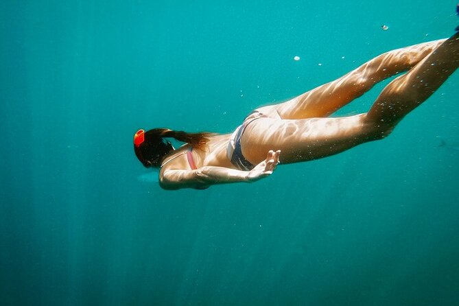 Luxury Snorkeling Tour in Cabo San Lucas - The Arch, Sea Lions, and Pelican Rock