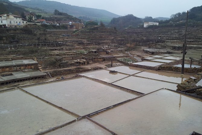 Luxury Tour By Alava (Vitoria-Gasteiz and Salinas De Añana) - What the service record tells you