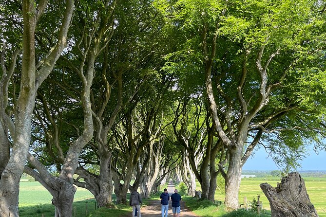 Luxury Tour of Giants Causeway from Belfast - Dunluce Castle on the cliff edge