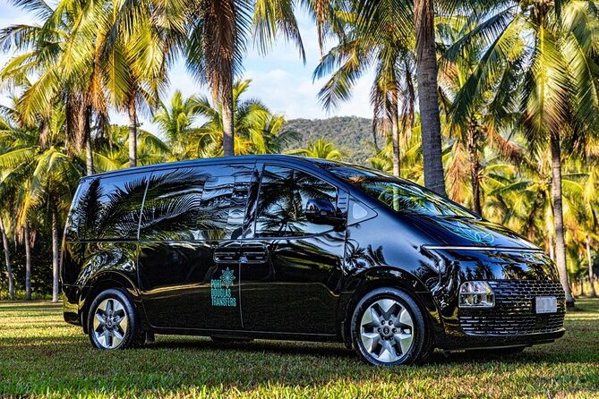 Luxury Van, Private Transfer, Cairns Airport - Port Douglas. - Planning a return trip from Port Douglas