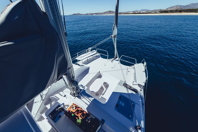 Luxury Whale Watch Cruise to The Arch Los Cabos - Whale watching from December through April