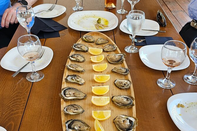 Luxury Wine and Oyster tasting - Ston walls and the salt town