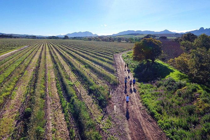 Luxury Wine Tour with Lunch - Cheetah Outreach adds purpose to the final hour