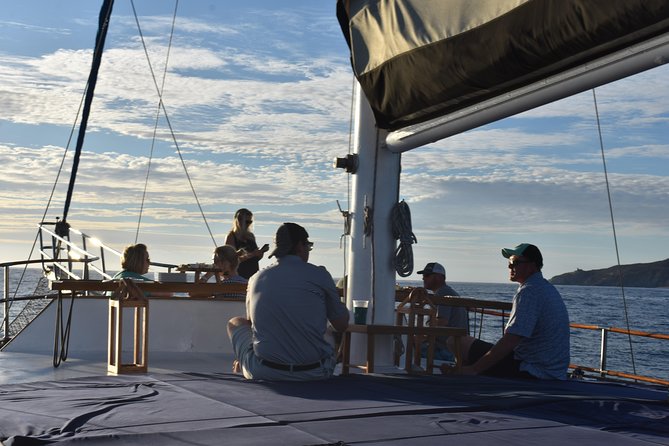 Luxury Yacht Snorkeling & Lunch Cruise from Cabo San Lucas - A long lunch with Baja tacos at sea