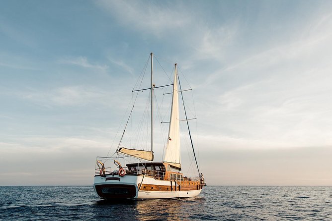 Luxury Yacht Snorkeling & Lunch Cruise from Cabo San Lucas - The crew and the feel on board