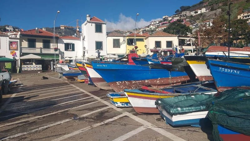 Madeira Private 4-Seater Mercedes VIP - Should you book the Madeira Mercedes VIP tour?