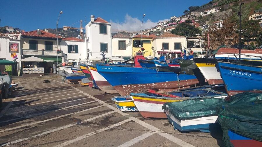 Madeira Private 4-Seater Mercedes VIP - Who gets the most from this experience?