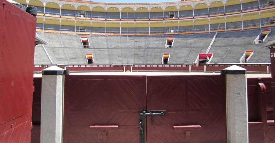 Madrid: Las Ventas Bullring VIP Private Guided Tour - Walking through the arena and its less familiar corners