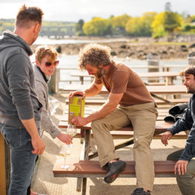 Maine: Belfast VIP Private Harbor Cruise - Watching for seals and harbor porpoises
