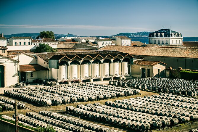 Maison Noilly Prat VIP tour, wine and vermouth tastings - What Makes This Noilly Prat Visit Worth Your Time