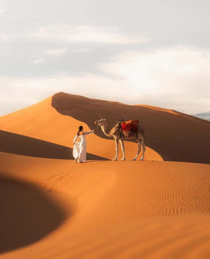 Majestic Desert: 3-Day Luxury Journey from Marrakech to Fes - Is $138 good value for three days?