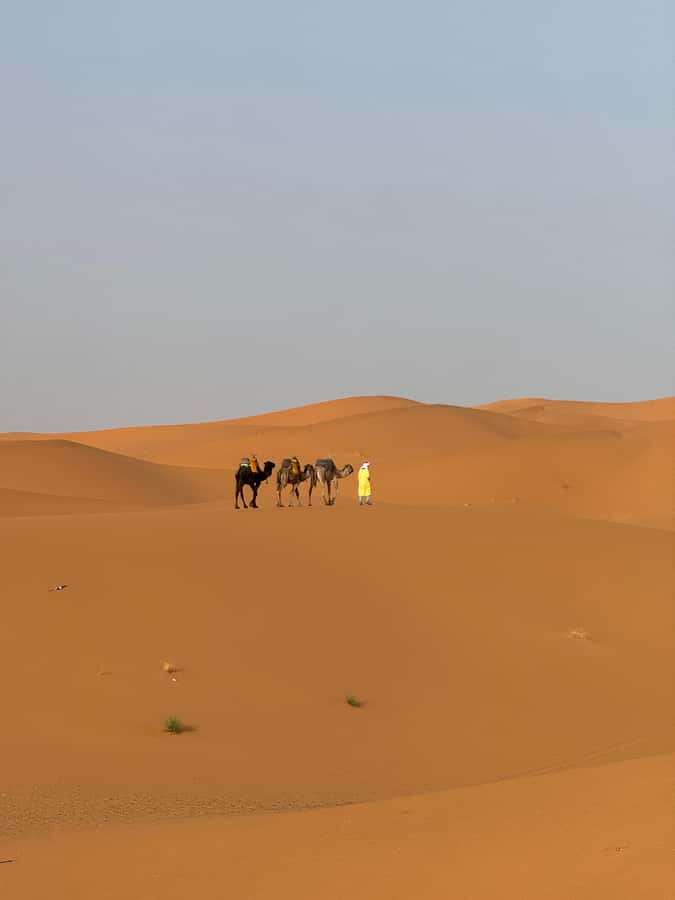 Majestic Desert: 3-Day Luxury Journey from Marrakech to Fes - The camp: comfort with a cold-weather warning