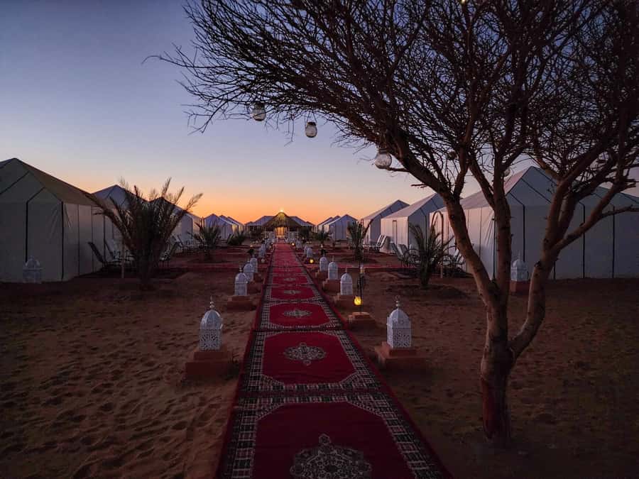 Majestic Desert: 3-Day Luxury Journey from Marrakech to Fes - Day three: fossils, cedar forest, and Ifrane