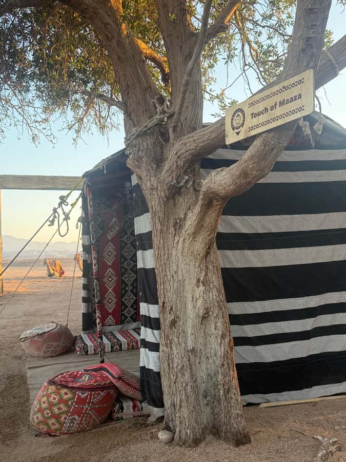 Makadi Bay: BADU Luxury Bedouin Dinner Experience & Stargaze - From your hotel to the BADU Camp