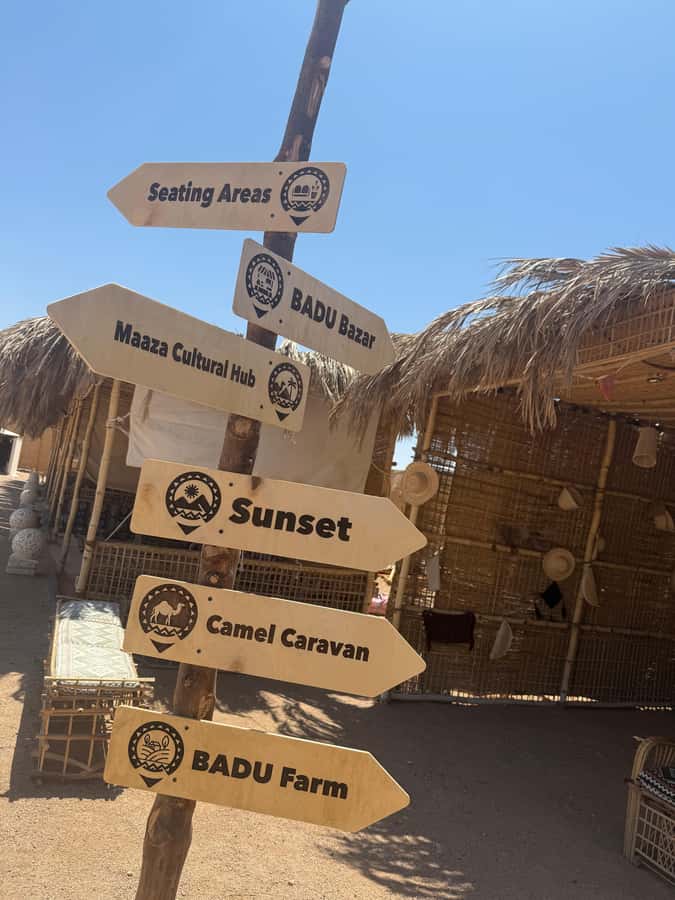 Makadi Bay: BADU Luxury Bedouin Dinner Experience & Stargaze - How much value do you get for $45?