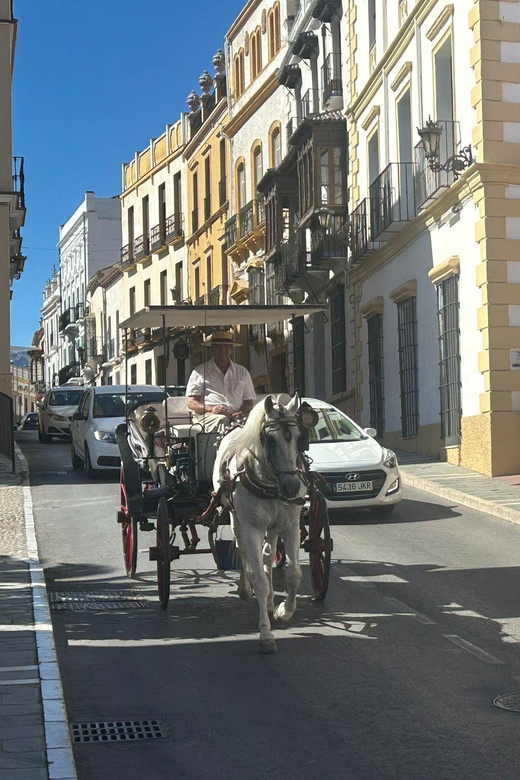 Marbella/Estep. Private VIP-Tour Ronda incl. Tapas & Drinks - Puente Nuevo and the El Tajo gorge