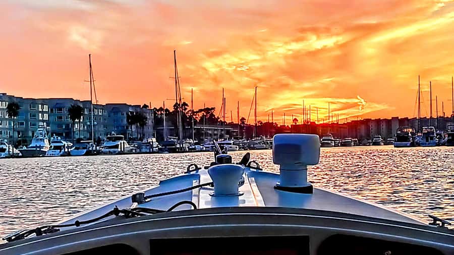 Marina Del Rey Luxury Boat Cruise Wine, Charcuterie Sealions - Wine, Cheese, and Charcuterie on Board