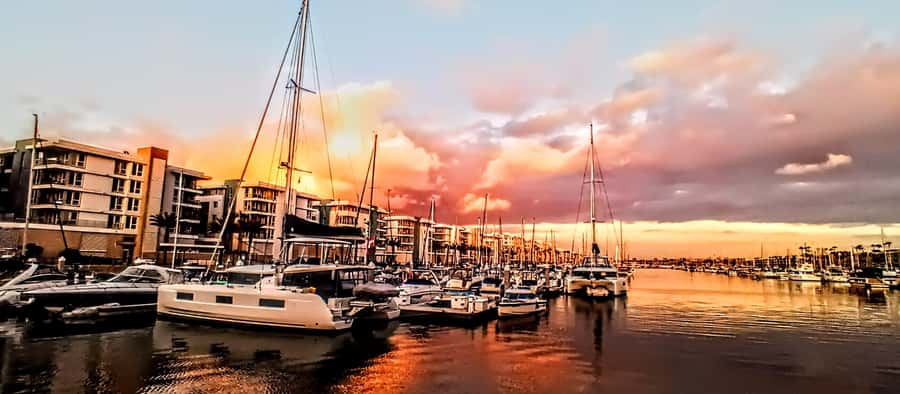 Marina Del Rey Luxury Boat Cruise Wine, Charcuterie Sealions - Sunset, Fresh Air, and the Best Time to Go