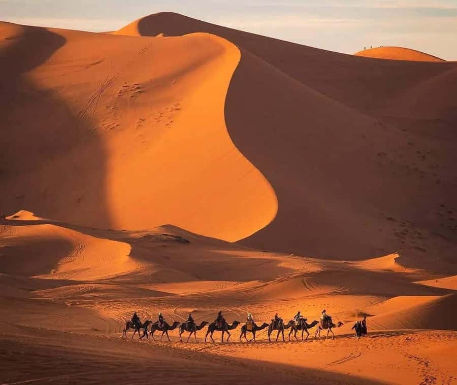 Marrakech: 3-day Exclusive Desert Luxury Tour; Quad & Camels - Guides, drivers, and group atmosphere