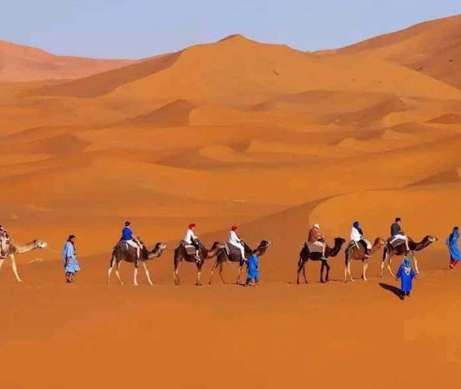 Marrakech: 3-day Exclusive Desert Luxury Tour; Quad & Camels - Who should book this tour?